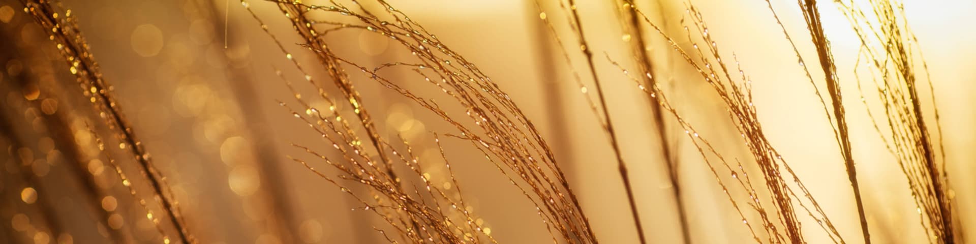 cover image for Информация